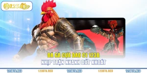 Đá Gà Cựa Dao C1 123B - Nhịp Trận Nhanh Dứt Khoát