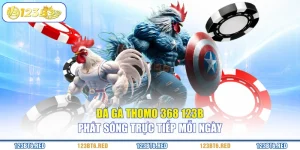 Đá Gà Thomo 368 123B - Phát Sóng Trực Tiếp Mỗi Ngày
