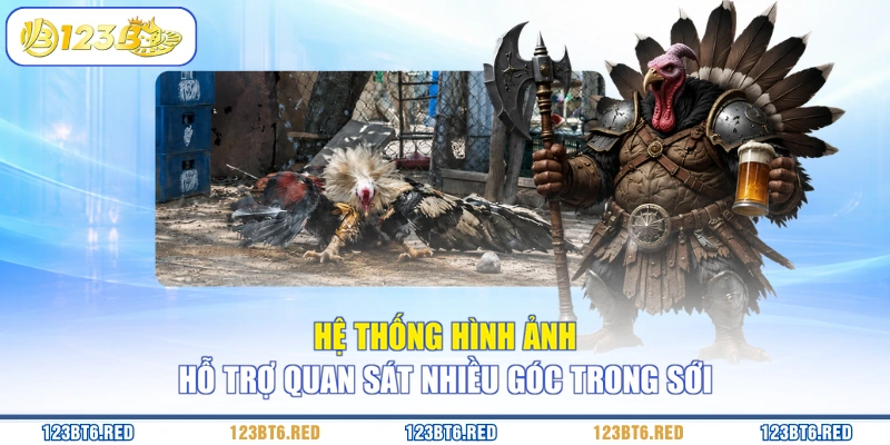 Hệ thống hình ảnh hỗ trợ quan sát nhiều góc trong sới