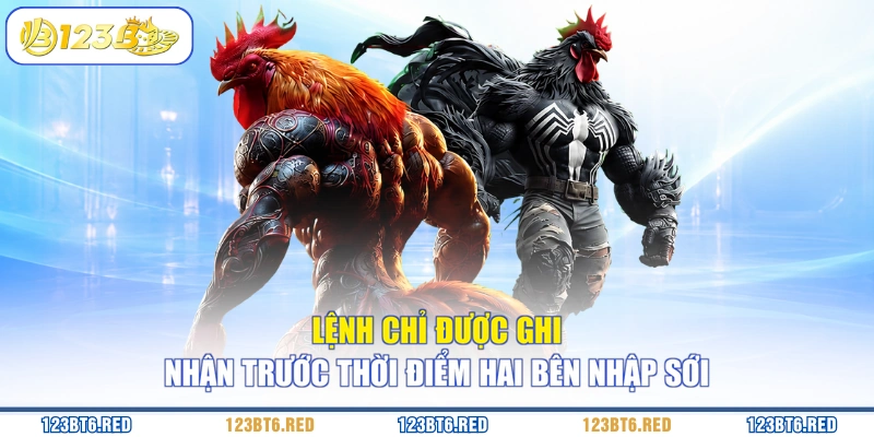 Lệnh chỉ được ghi nhận trước thời điểm hai bên nhập sới