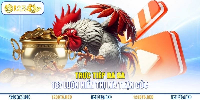Trực tiếp đá gà 167 luôn hiển thị mã trận gốc